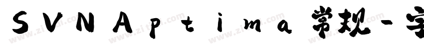 SVN Aptima 常规字体转换